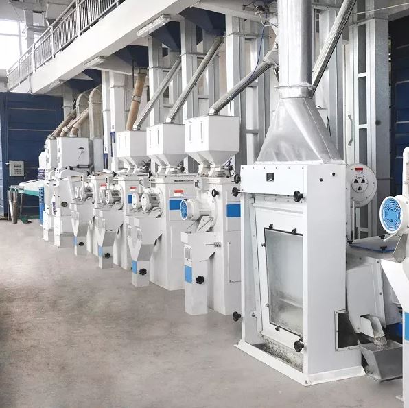 Ahaar Global Rice Fields