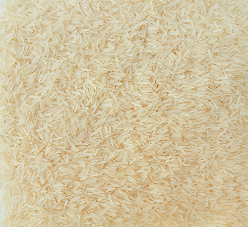 Arborio Rice